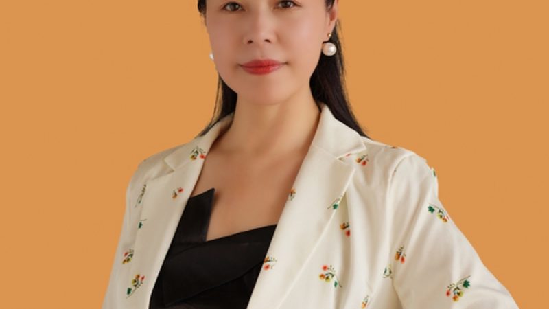 VI设计费用揭秘：了解这些项目，避免不必要的开支