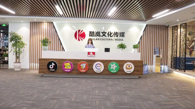 媒介投放全流程：揭秘高效传播的奥秘