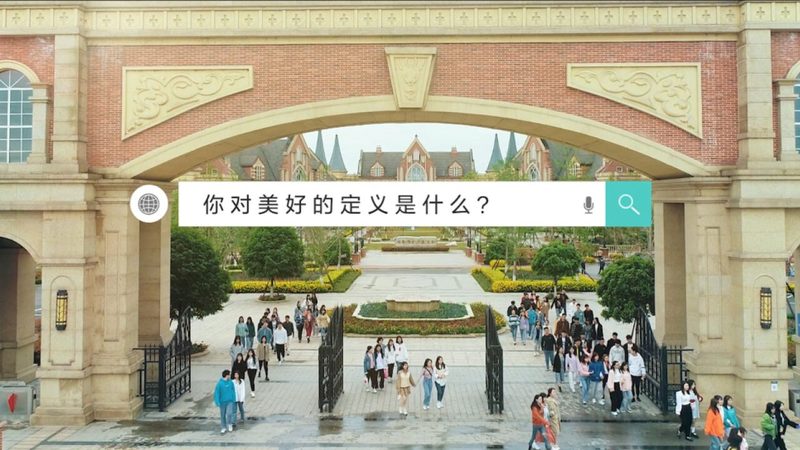 MG动画素材分类解析：解锁创意无限之门